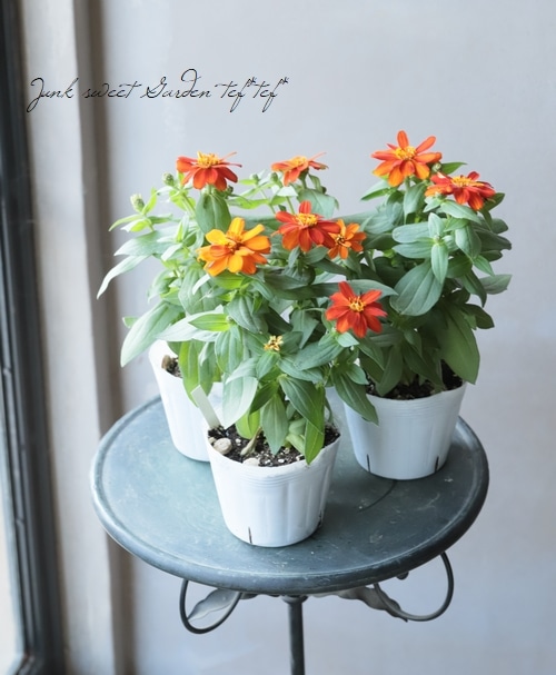 ばなな様 お仕上がり確認用 BANANA REPUBLIC FACTORY STORE｜(W)BANANA