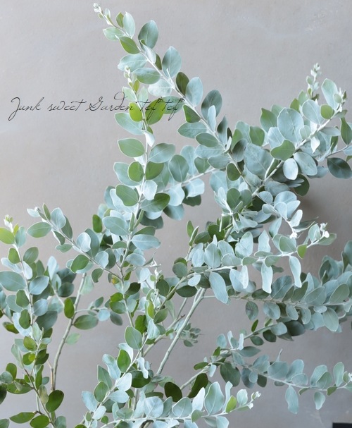 ���եѡ��륢���������إݥ���꡼�ե��ꥢ�� ���ͥ����������ڣ���