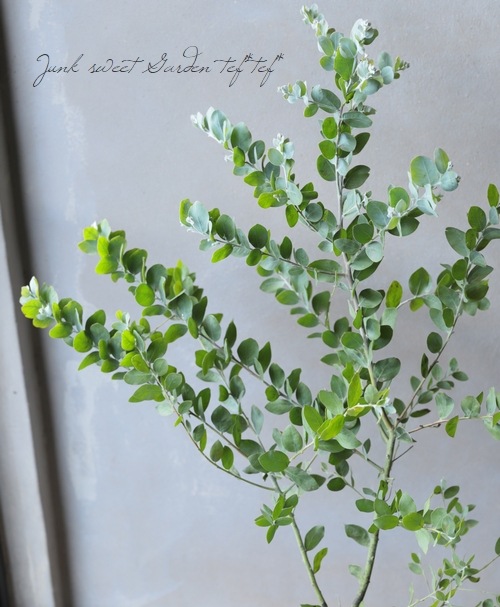 ���եѡ��륢���������إݥ���꡼�ե��ꥢ�� ���ͥ����������ڣ���