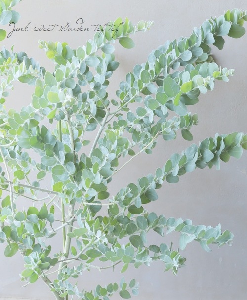 ���եѡ��륢���������إݥ���꡼�ե��ꥢ�� ���ͥ����������ڣ���