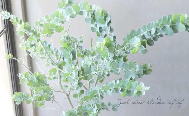 ���եѡ��륢���������إݥ���꡼�ե��ꥢ�� ���ͥ����������ڣ���