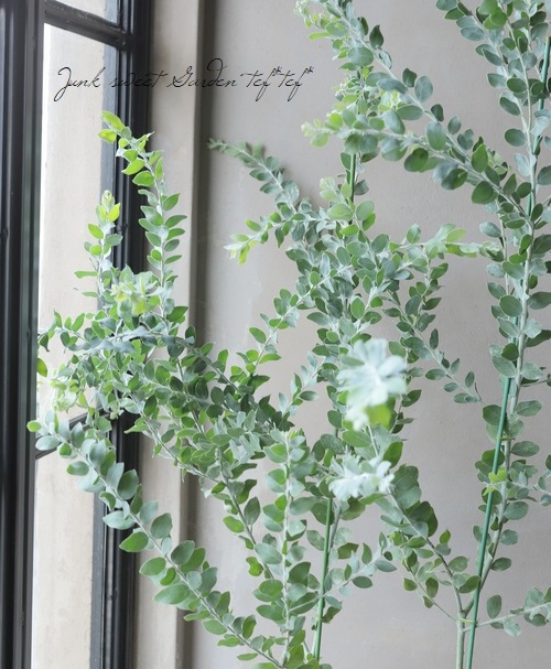 ���եѡ��륢���������إݥ���꡼�ե��ꥢ�� ���ͥ����������ڣ���