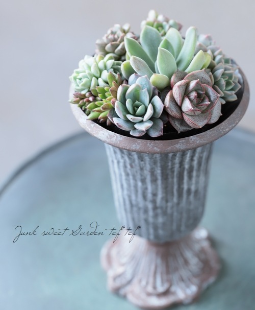 ��¿����ʪ�ۡ�Yourself���󤻿����١�F�����ס�