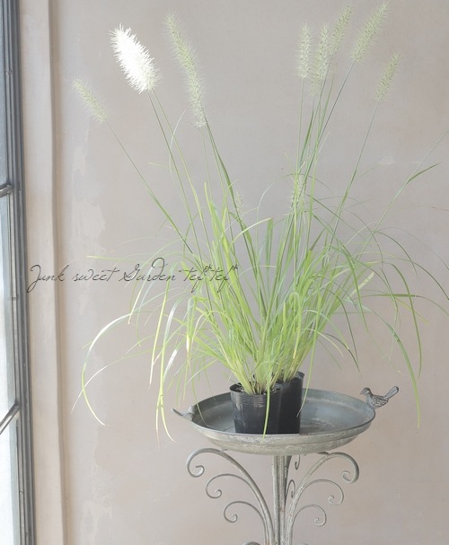 �ڥ��饹��ʪ�ۥڥ˥����ࡦ�����ڥ������ǥ� �إ��������饷�С�