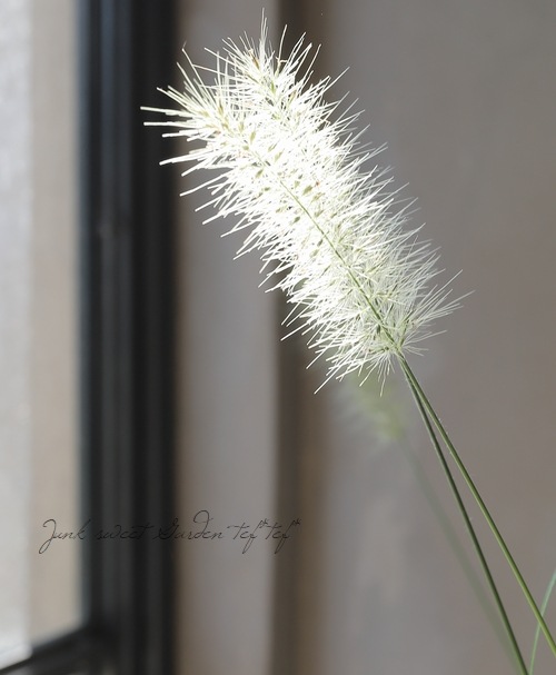 �ڥ��饹��ʪ�ۥڥ˥����ࡦ�����ڥ������ǥ� �إ��������饷�С�