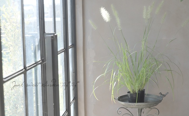 �ڥ��饹��ʪ�ۥڥ˥����ࡦ�����ڥ������ǥ� �إ��������饷�С�