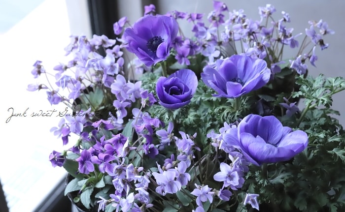 �ɺ����ߥ졡����ϩ���ߤ�١�