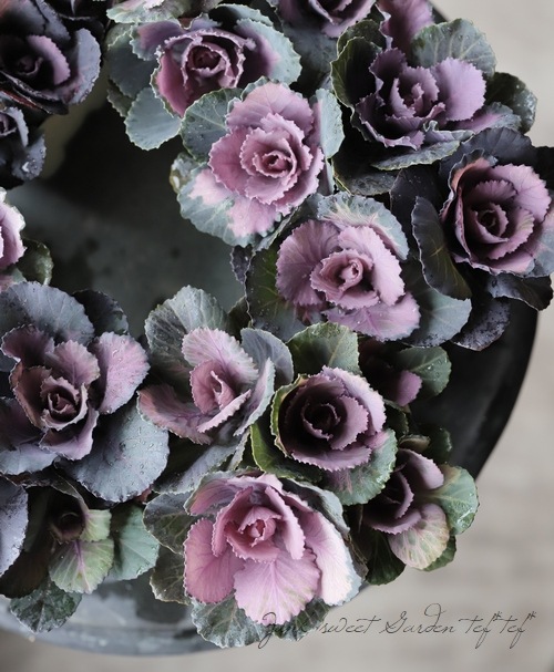 ����ƥ������ղ�ð����˨�֥��å�����