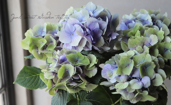 秋色紫陽花 『パープルシルバー』 | すべての商品 | | Junk sweet