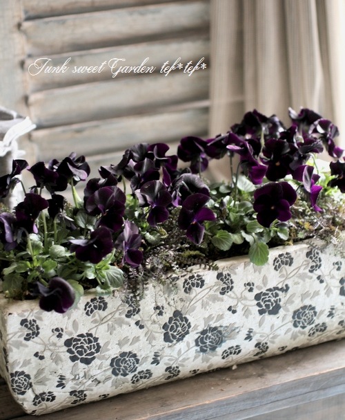 ץƥͥ顡إץåĥ֥å