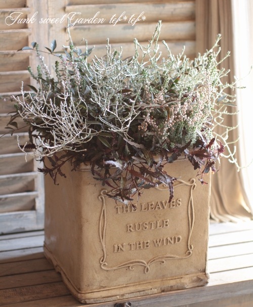 ���롼�ʡ��֥륬�ꥹ���إ���С��١���No.D��