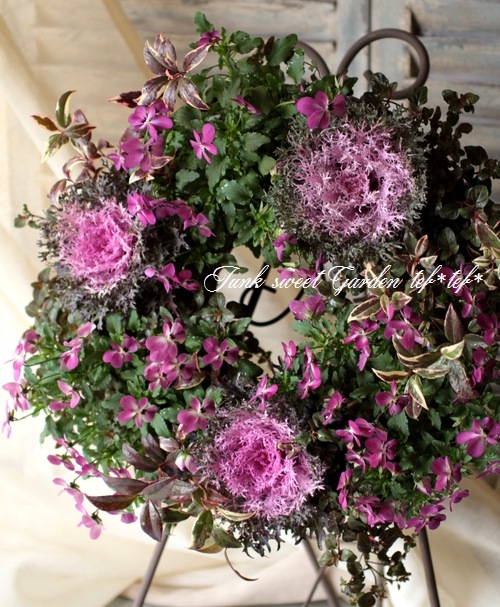 �ߤ�ȥӥ��顡�إҥ��»ΤΥ磻�󥰥饹��