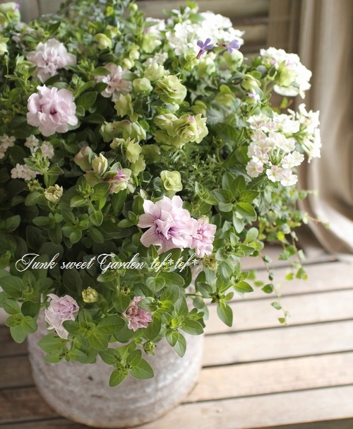 Ȭź餭ڥ˥ѥ˥إԥ󥯥