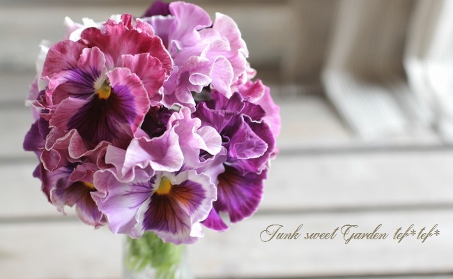 �ե��ѥ󥸡����ե�եꡡ�إ�٥������