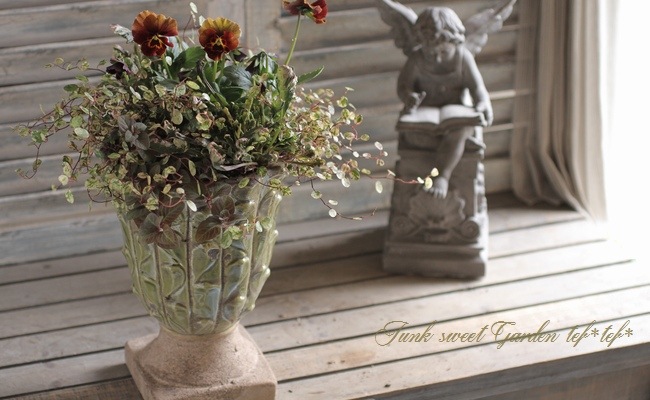 tef*tef*寄せ植え<BR>2015 * no.157 *<BR><BR>育種家ビオラ『エボルベ