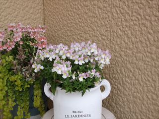 �ɺ��ͥ᥷�����᡼�ƥ뿷�ʼ� �إԥ󥭡����ߥ륭����