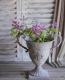 <i>Perennial sweet pea</i><BR><BR>�������ɺ������ȥԡ�<BR>�إ饷�饹���ԥ󥯡٤ȡإѡ��ץ�٤�MIX����