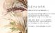 LUXURY SELECTION<BR>2016<BR>���󥰥饹�ι�뤷�������<BR>�إ⡼�֥ԥ󥯡�
