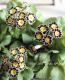 <i>Primula</i><BR><BR>����ƥ������ץ���<BR>����ϡإ���С��졼����
