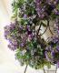 tef*tef*�󤻿����꡼��<BR>2014 * no.33 *<BR><BR>�ӥ���إե����ƥåɥ��祳�졼�ȡ�