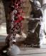 tef*tef*�󤻿���<BR>2014 * no.68 *<BR><BR>�إߥ��ղ�ð�Υȡ��륪�֥�����