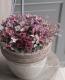 tef*tef*�󤻿��� 2017<BR> * no.6 *<BR>����ƥ������ԥ�