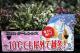 �ޥ��ʥ�10�٤ޤ�OK�����ꥫ<BR>�إ�����󥷥������