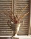 <i>Phormium</i><BR><BR>���㡼�פʥ饤��<BR>�˥塼�������<BR>�إ쥤��ܡ����������