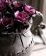 tef*tef*�󤻿���<BR>2014 * no.52 *<BR><BR>�إߥ��ղ�ð�Υ��֥�����