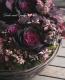 tef*tef*�󤻿����꡼��<BR>2014 * no.51 *<BR><BR>���ղ�ð�٥륵�����٤�Υ꡼���Х����åȡ�