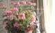 tef*tef*�󤻿���<BR>2015 * no77 *<BR><BR>Ȭ�ťڥ���غ������