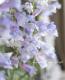 ڥ󥹥ƥ󡡡إ쥯ȥå֥롼ٿ