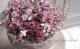 tef*tef*�󤻿��� 2017<BR> * no.6 *<BR>����ƥ������ԥ�