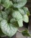�֥��ͥ� �إ���å��ե����ȡ�