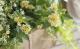 tef*tef*󤻿<BR>2015 * no89 *<BR><BR>˥˥