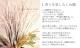 LUXURY SELECTION<BR>2016<BR>���󥰥饹�ι�뤷�������<BR>�إ⡼�֥ԥ󥯡�