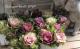 <i>Brassica</i><BR><BR>tef*tef*���̥֡�����Ω�ơ�<BR>�Ȥ���ա����饭���ղ�ð<BR>�ظ��ҡ��ե����ա�