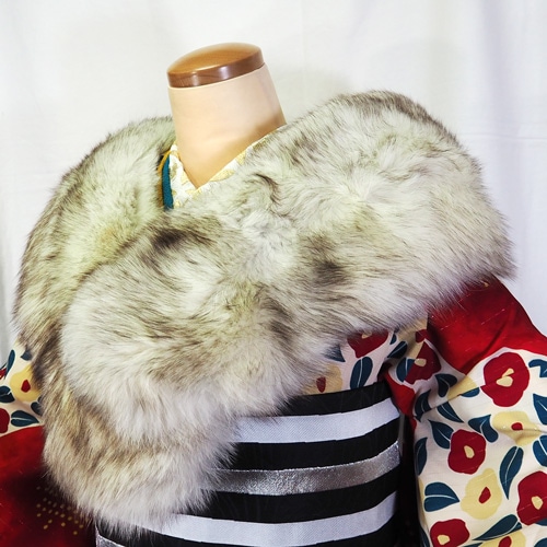 �֥롼�ե��å����ե������ȡ���