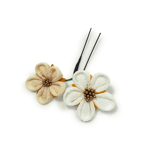 �Ĥޤ��ߤ��󤶤������