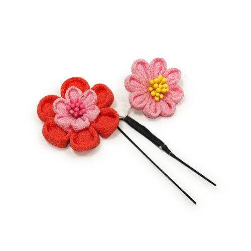 Ĥޤߤ󤶤ƣʥԥ󥯡