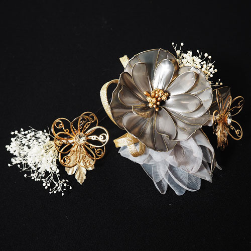 �ǥ��åץե��ȥɥ饤�ե���ȱ���ꡡ���졼