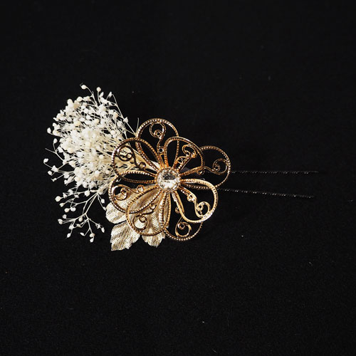 �ǥ��åץե��ȥɥ饤�ե���ȱ���ꡡ���졼