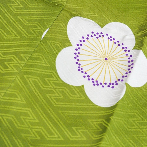 ������Ĺ���_������