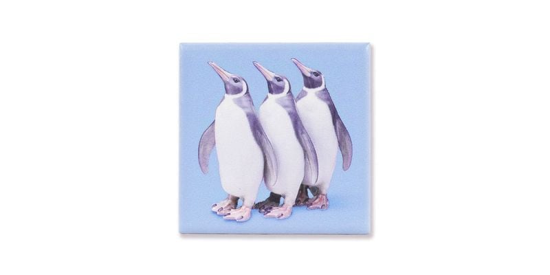 �����ȥޥ��ͥåȡ���¢�ʥڥ󥮥�/������륳�ڥ�ϡ�����