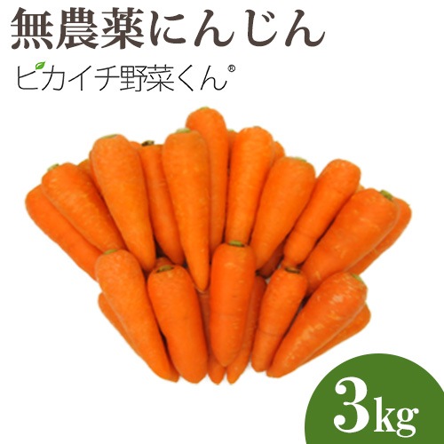 無農薬人参3kg 国産 農薬・化学肥料不使用栽培 規格外 訳アリ