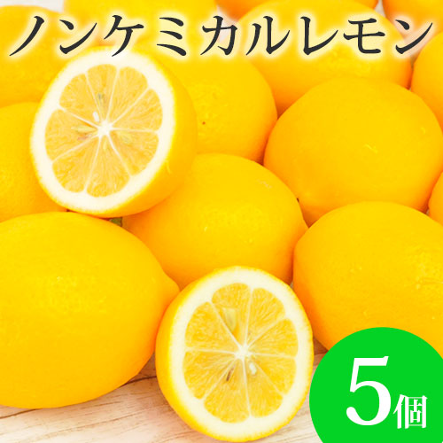  Υ󥱥ߥ 5 500g) Ի