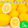  Υ󥱥ߥ 5 500g) Ի