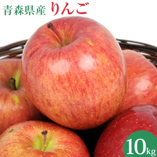 国産】 訳あり 青森県産 りんご 10kg 慣行栽培