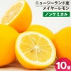 �˥塼�������ɻ� �Υ󥱥ߥ��� �ᥤ�䡼���� 10�� ������Ի���