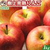 ������ Ĺ��� ���崰�Ϥ�� 1kg ������ ���̺�������ʪ